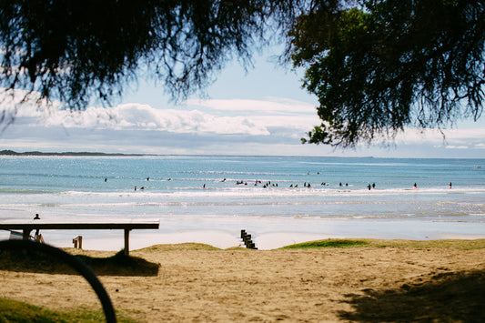 The Coast Story