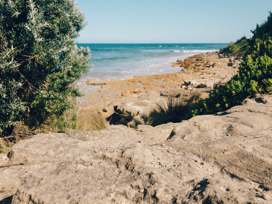 A sneak peek into our new Coast addition!